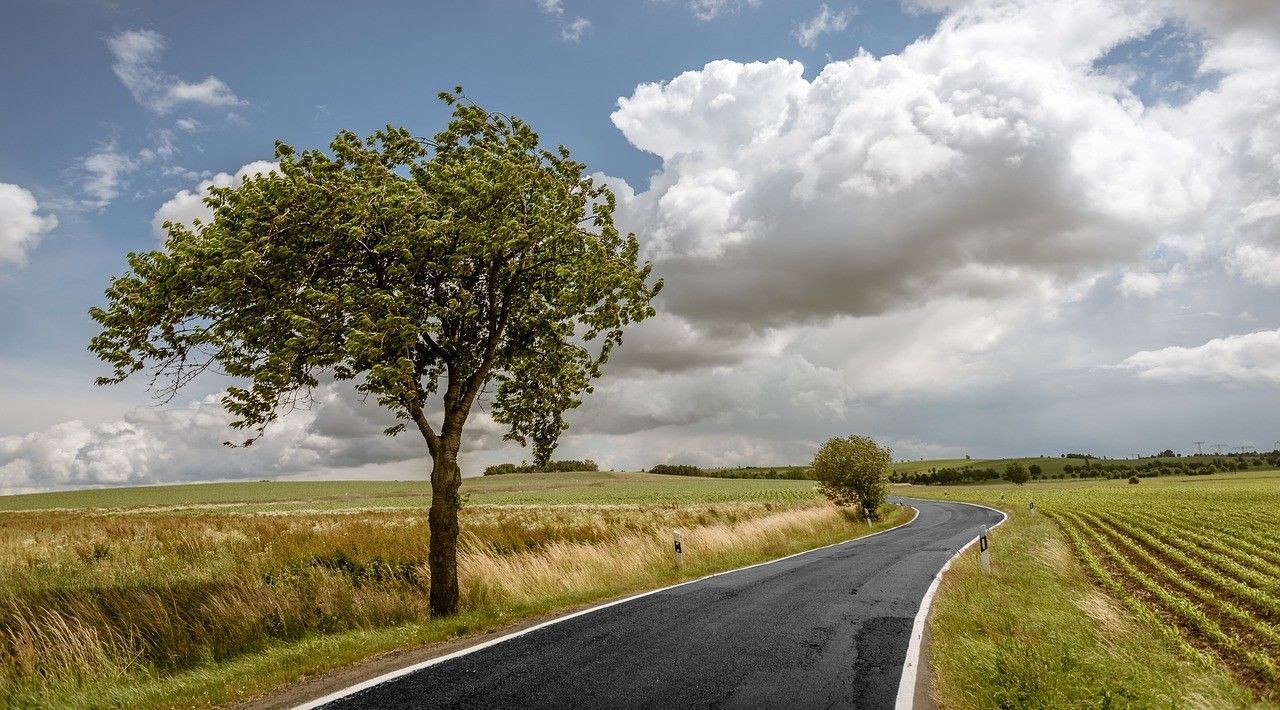 Neue Studie zu roadkills in Niederösterreich