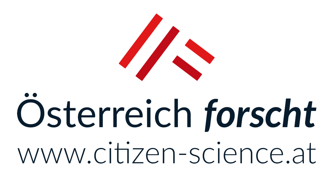 II LOGO