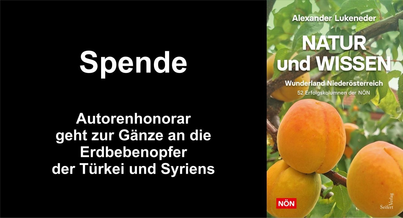 Honorar_Lukeneder_2023_Spende