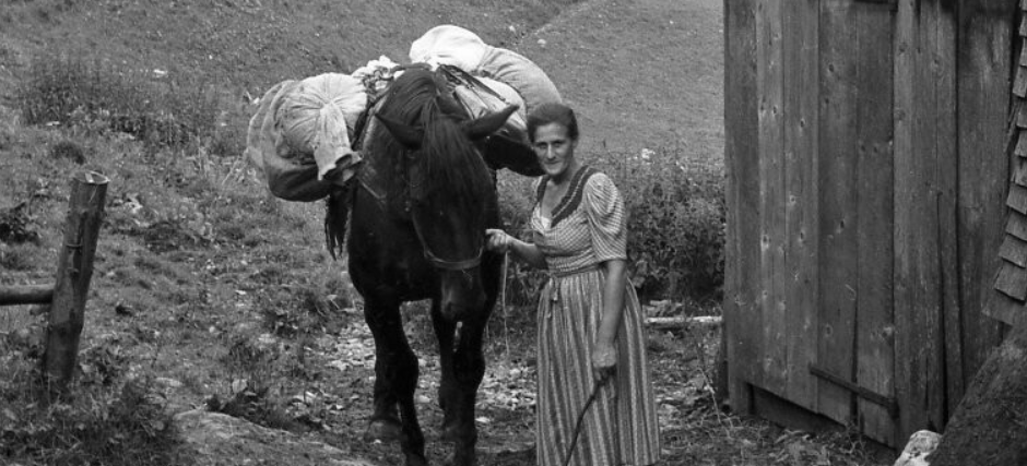 Alpe Gerach Vorarlberg, Frau neben bepacktem Esel
