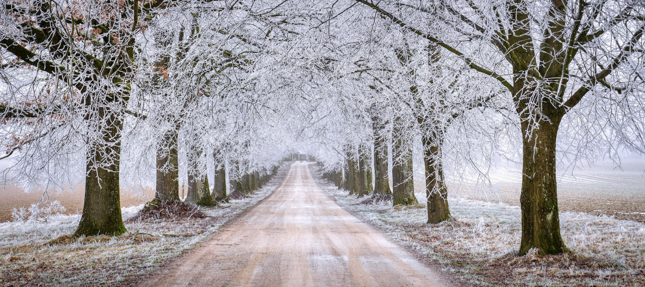 Roadkills in den Wintermonaten