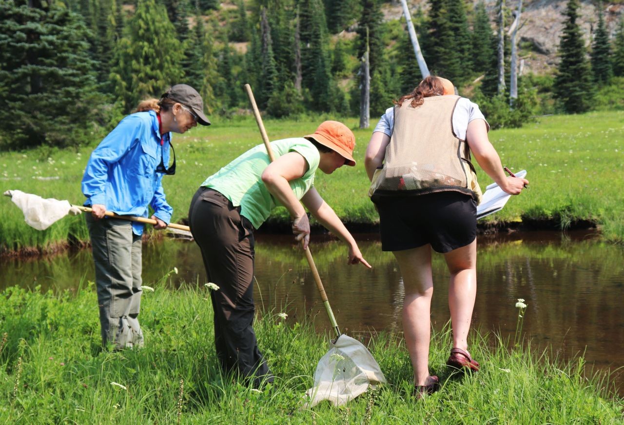 Citizen science volunteers. Photo by Ivie Metzen - CC BY-NC 2.0