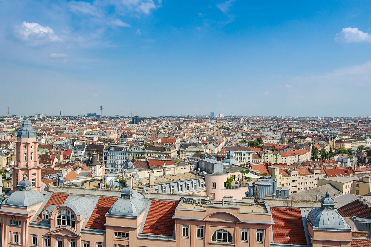 Achter Fachartikel: Scheinbar wenige Tiere werden in Wien überfahren