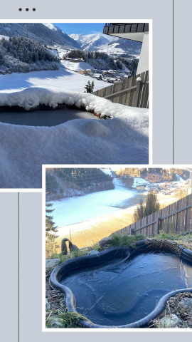 Bildersammlung mit zwei Fotos, auf den man Teiche im Winter mit und ohne Schnee sieht.