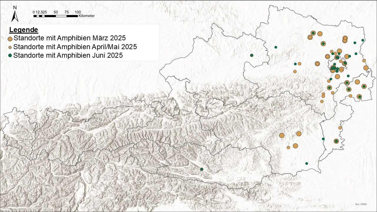 Karte Österreich mit farbigen Kreisen.