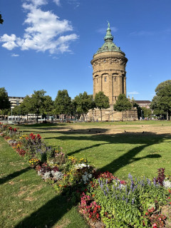 Park mit Wasserturm