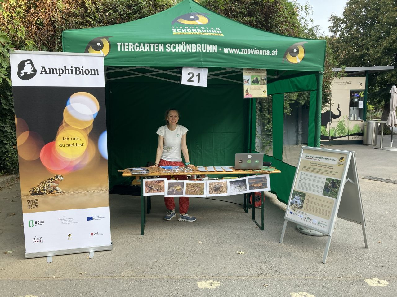 Infostand Projekt AmphiBiom