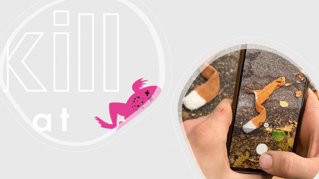 Neue Kurzvideos: So nutzt ihr die Roadkill App noch besser