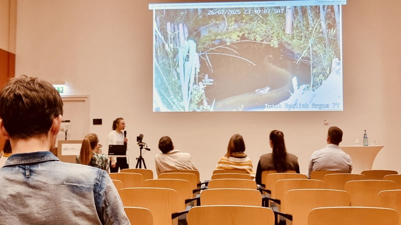 Ein Raum mit Stühlen und Menschen. Ein Bild an der Wand.