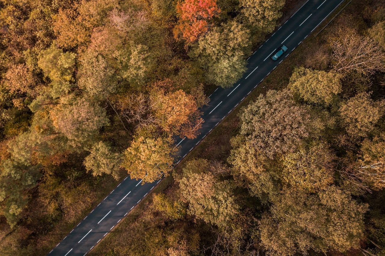 Was lernen wir aus den weltweit unterschiedlichsten Roadkill Projekten?