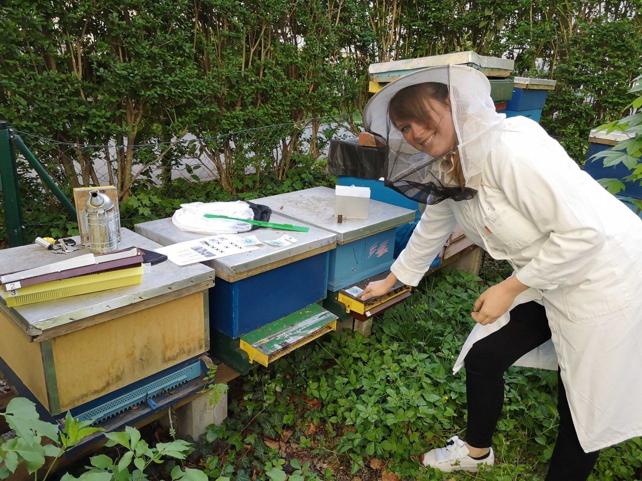 Beprobung von Bienenvölkern um die Umwelt zu erforschen