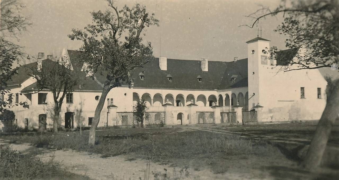 Pferdelazarett Schloss-Katzelsdorf