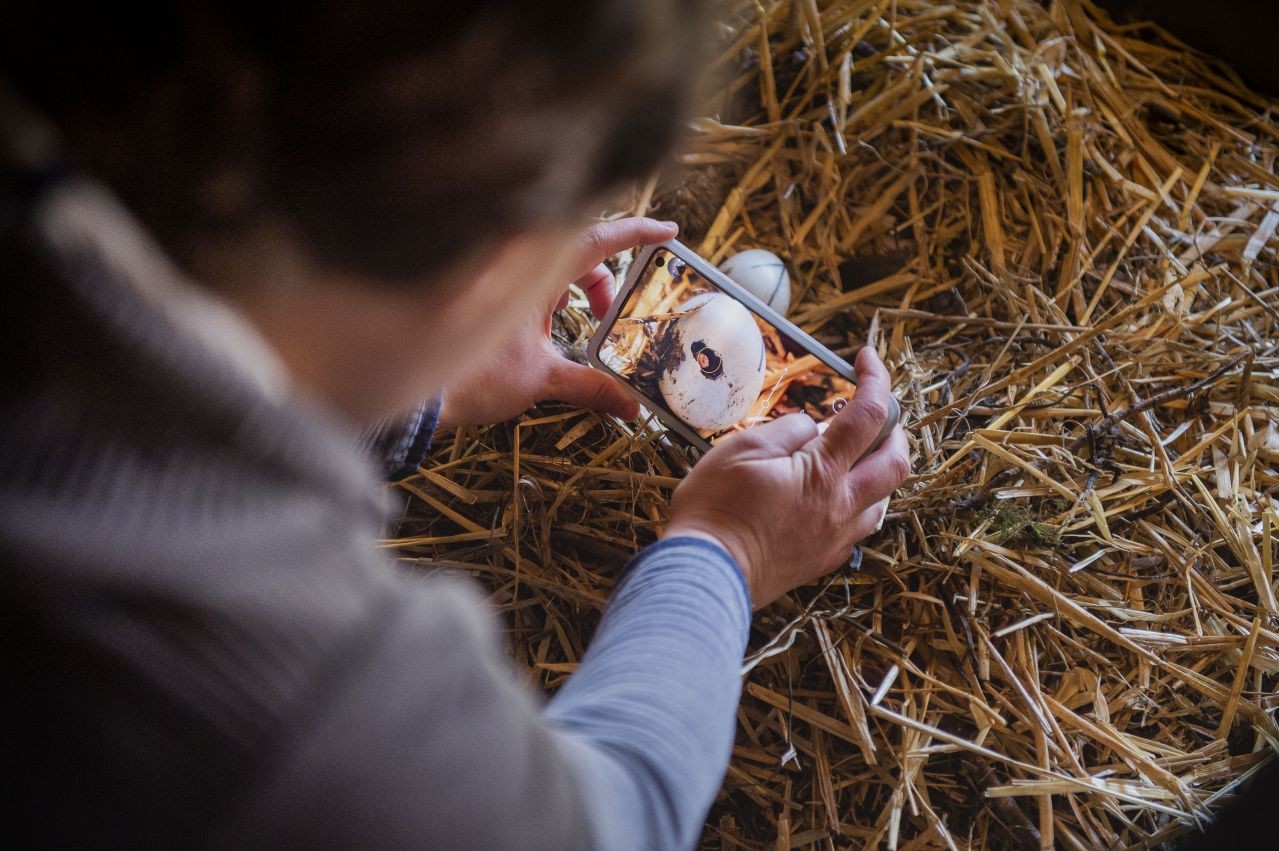 Online Plattformen für Citizen Science