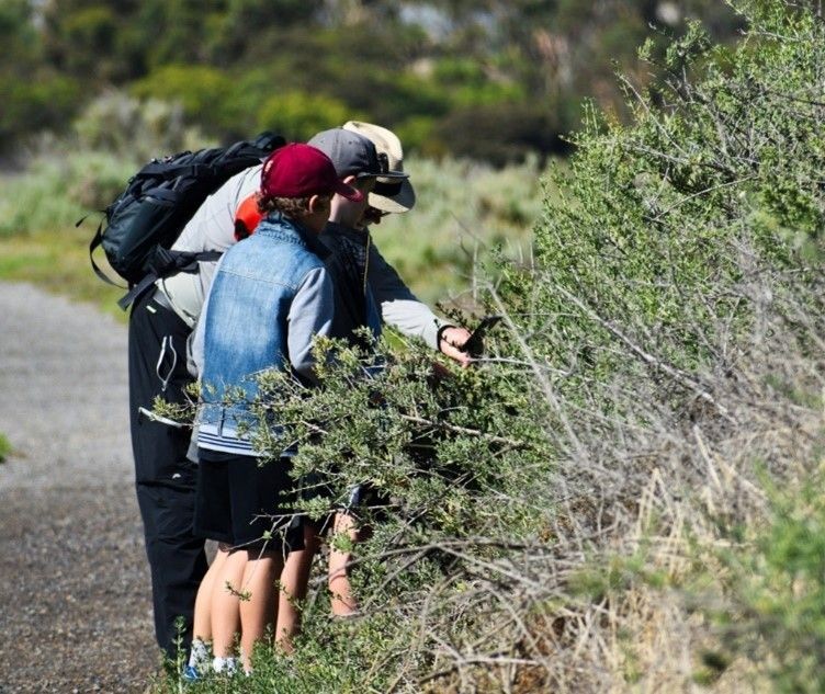 Citizen Science Award 2022: Jetzt Projekt anmelden!