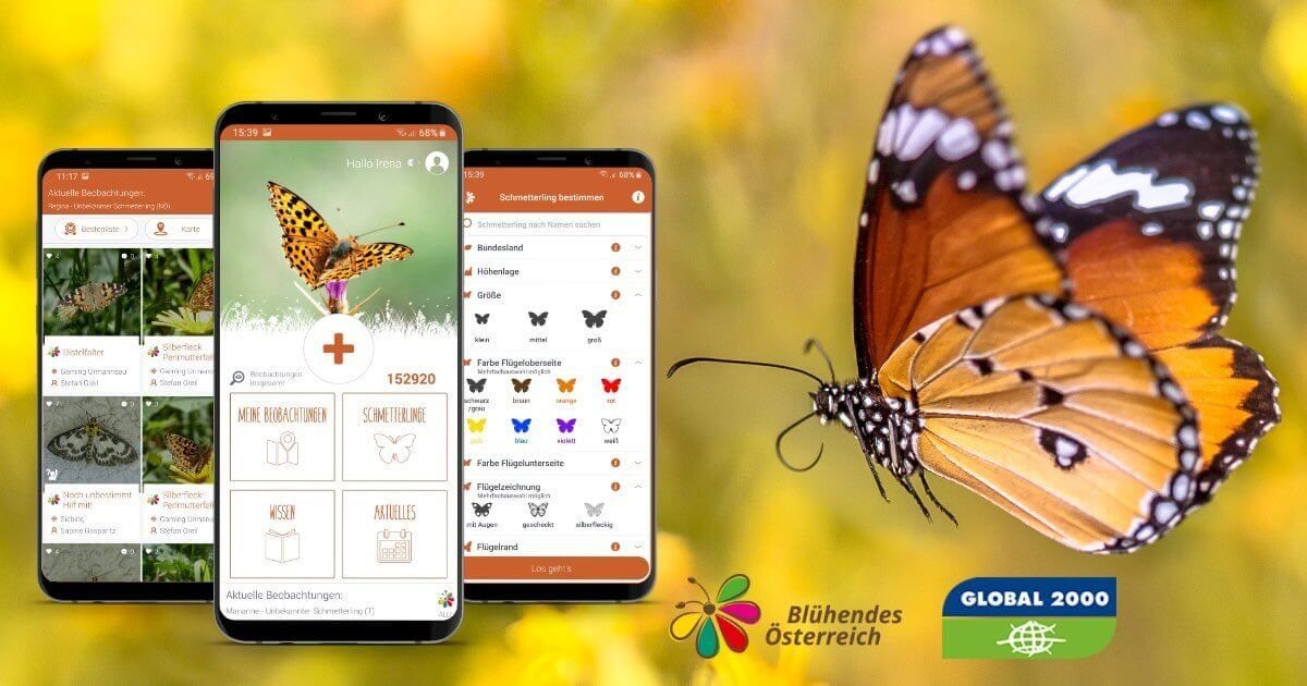 apptec-App-Entwicklung-Projekt-Schmetterlinge-Osterreichs-App-zur-Zahlung-der-Falter-1