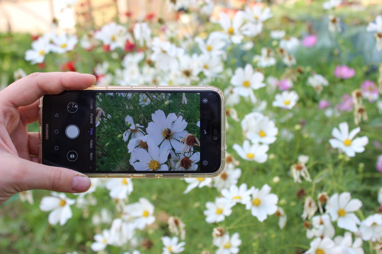 Wir suchen die schönsten Bilder rund um das Thema Citizen Science!