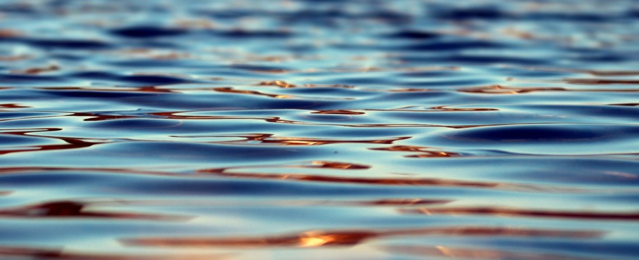 Wasser schafft: BürgerInnen forschen gemeinsam mit dem Wassercluster Lunz