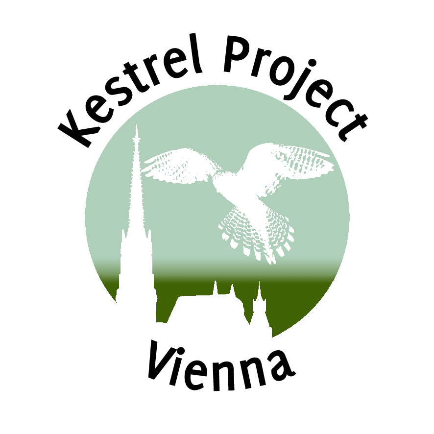 Project Logo