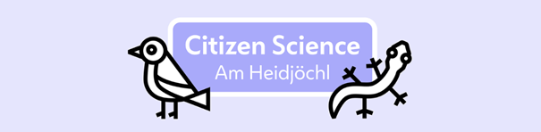 Projekt-Logo