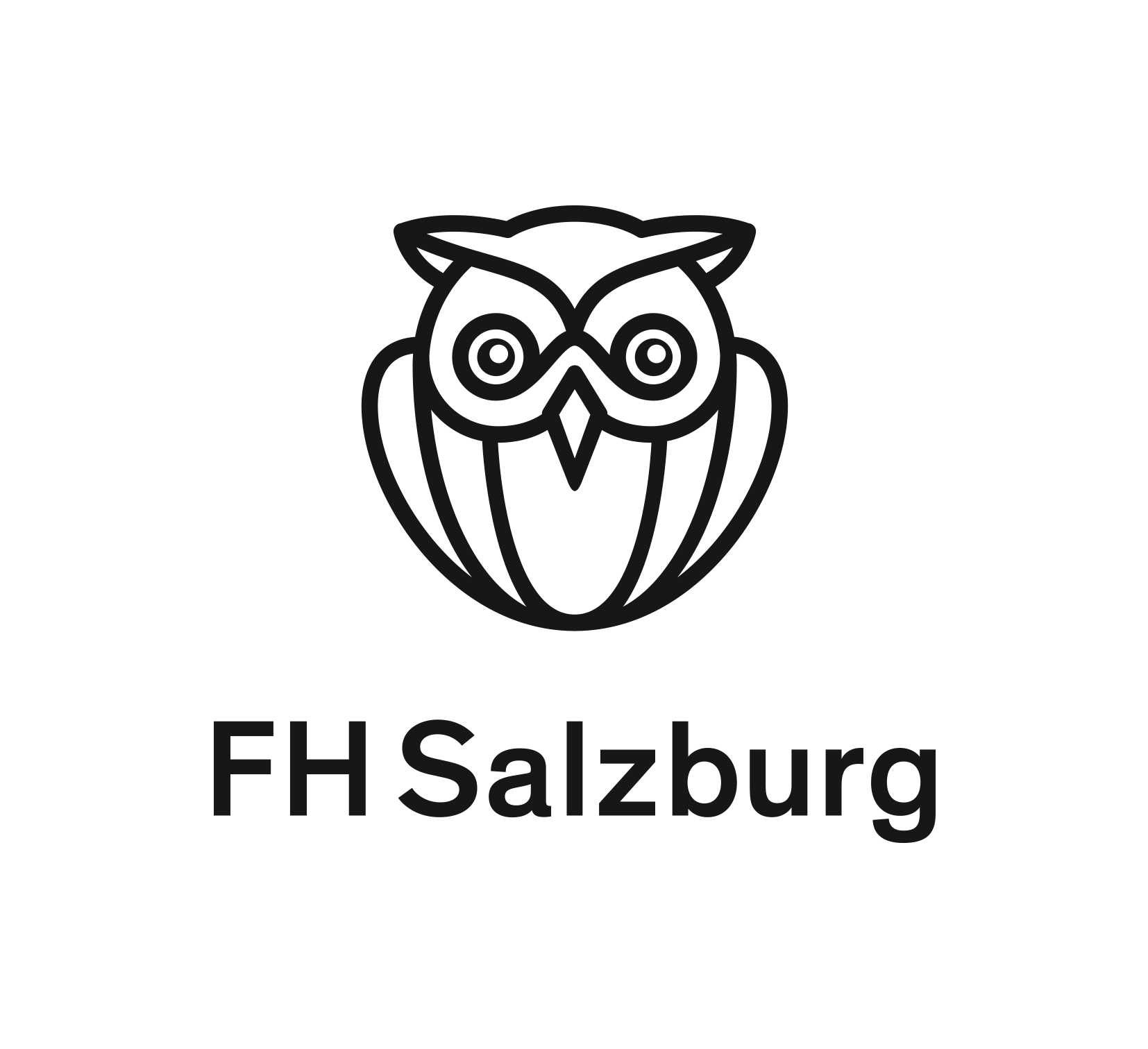 fh salzburg logo de groß