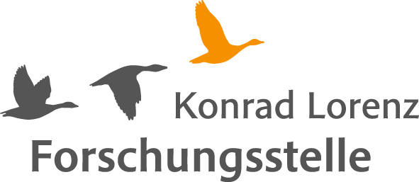 Projekt-Logo