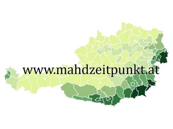 Projekt-Logo