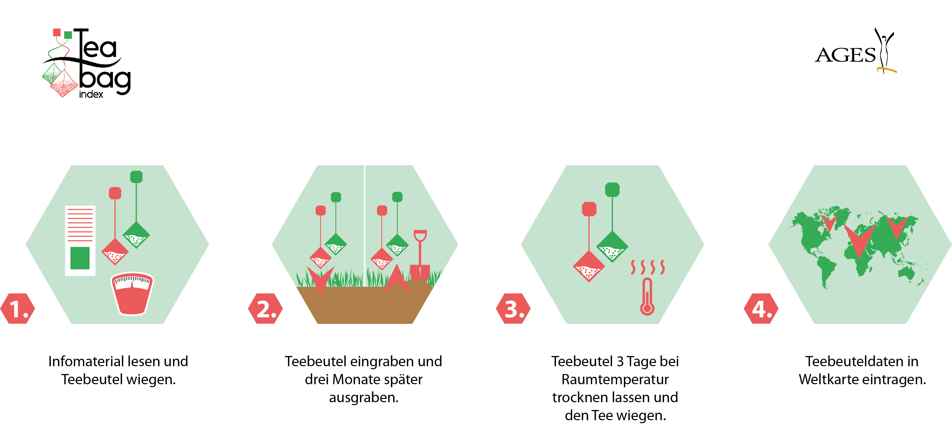 Infographik Tea Bag Index 