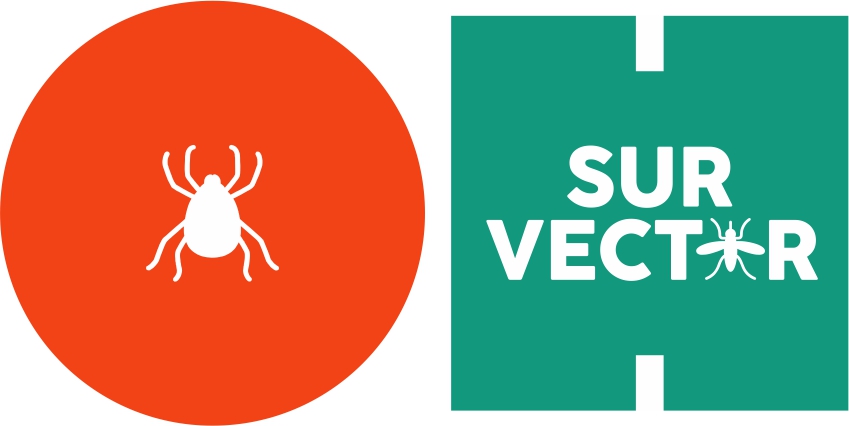 00084 02 A26 00 oh sur vector 1