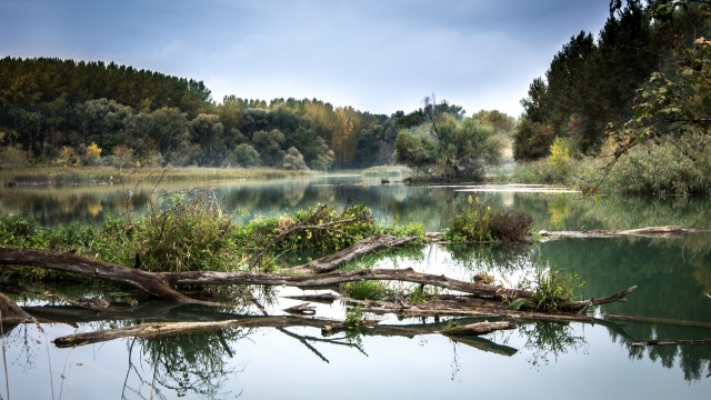 Wasser schafft - Ein neues Projekt auf www.citizen-science.at