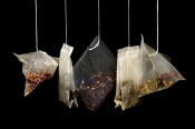 Tea Bag Index: ein neues Projekt auf www.citizen-science.at