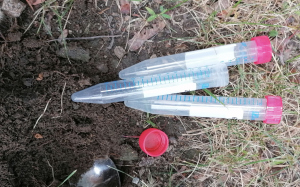 Bisphenol A in der Umwelt