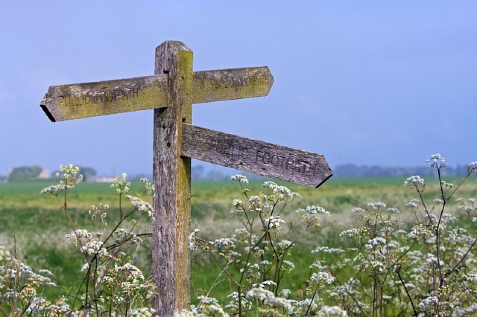 Wegweiser für naturwissenschaftliche Citizen Science Projekte online