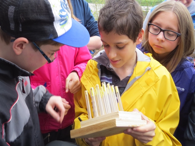 CitizenScience_AusschnittPottenbrunn_klein