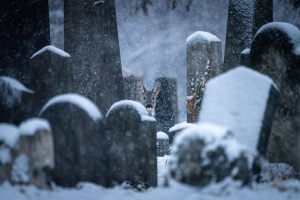 Biodiversity at cemeteries