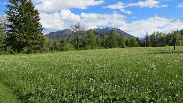 Ankündigung: Summer School 2018 zum Thema Citizen Science