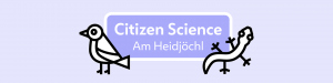 Citizen Science Am Heidjöchl