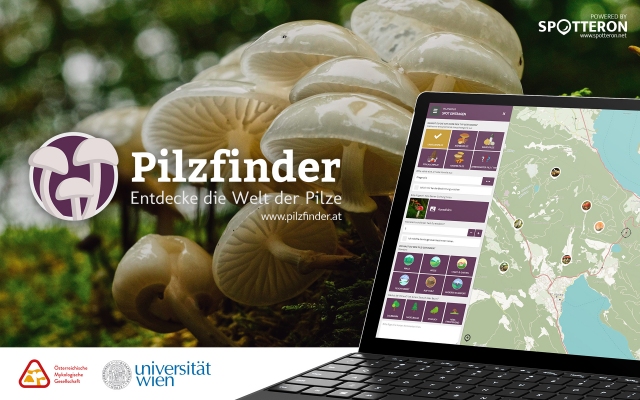 &quot;Pilzfinder&quot;