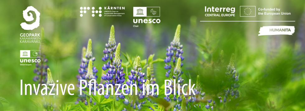 Invasive Plants in View