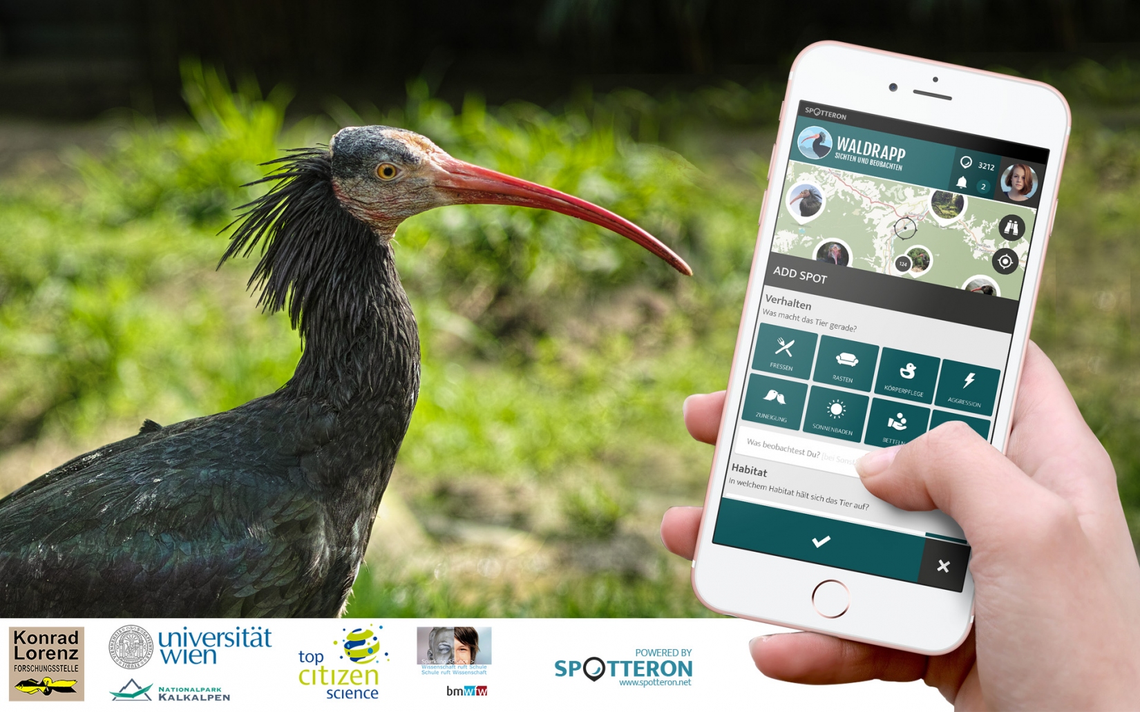 Waldrapp Citizen Scienceat - 