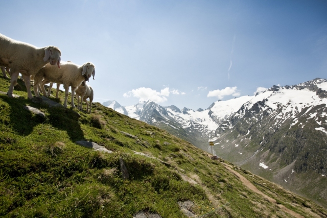 (C) Universitätszentrum Obergurgl