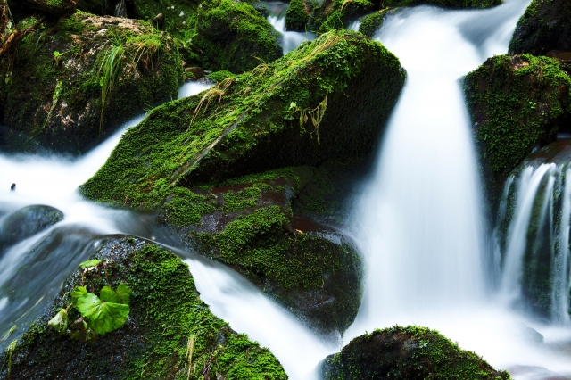 Die Wasserlotterie: ein Gewinnspiel des Projektes &quot;Wasser schafft&quot;